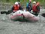 rafting33