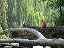 tyrrells_vacation014